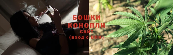дмт Протвино