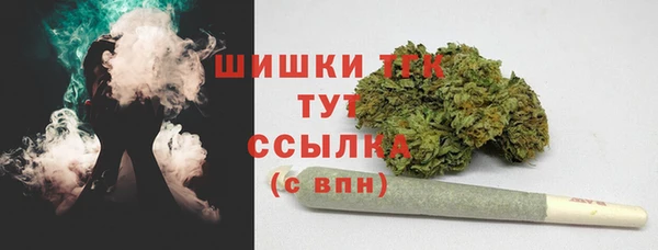 шишки Алзамай