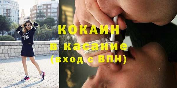 шишки Алзамай