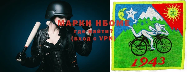 шишки Алзамай