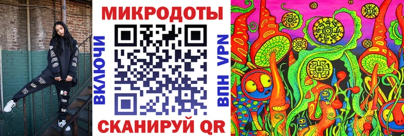 Псилоцибиновые грибы Cubensis  Заозёрный 